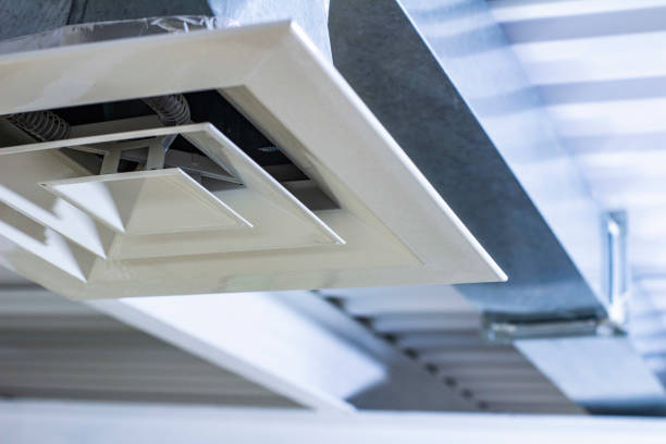 Air Duct Mold Removal in North Chicago, IL