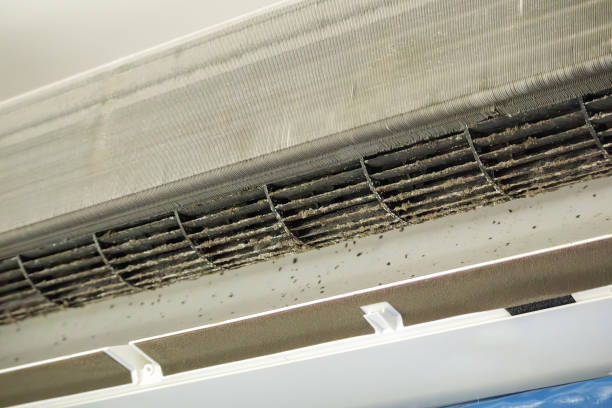 Best Air Duct Cleaning Near Me  in North Chicago, IL